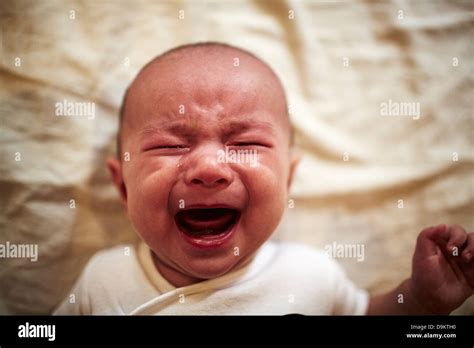 Baby Boy Crying Stock Photo Alamy