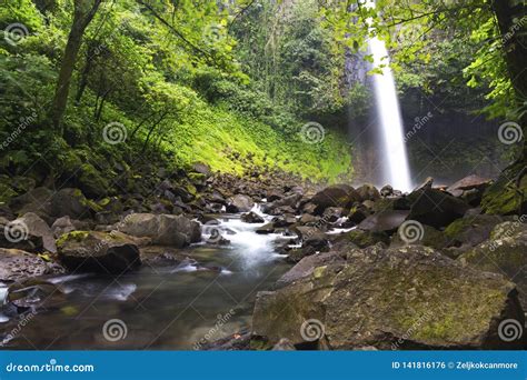 La Fortuna Waterfall Tropical Rainforest Lush Foliage Arenal National