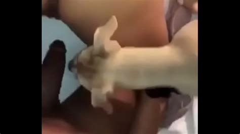 Follando Con Un Perro En El Bosque Xvideos Xxx Filmes Porno