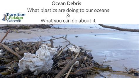 Marine Debris What Science Tells Us About Marine Debris And How You Can