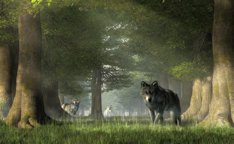Wolves In The Forest By Deskridge On Deviantart
