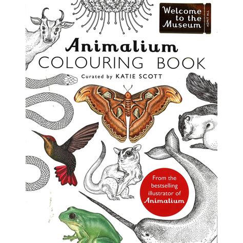 Animalium Colouring Book Paperback Shopee Philippines