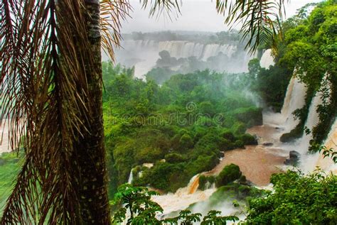 Argentina America Waterfalls Iguazu Falls Beautiful Landscape