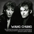 Icon : Wang Chung | HMV&BOOKS online - 5383785
