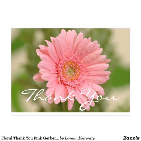 Floral Thank You Pink Gerbera Daisy Flower Postcard In