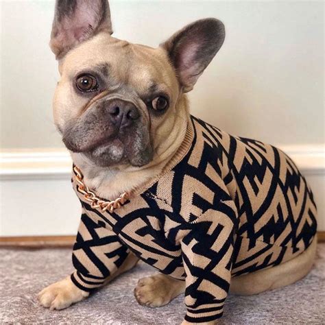 French Bulldog Sweaters Bulldog Jumpers Frenchie Shop
