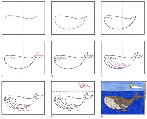 How To Draw A Humpback Whale · Art Projects For Kids Ocean Drawing