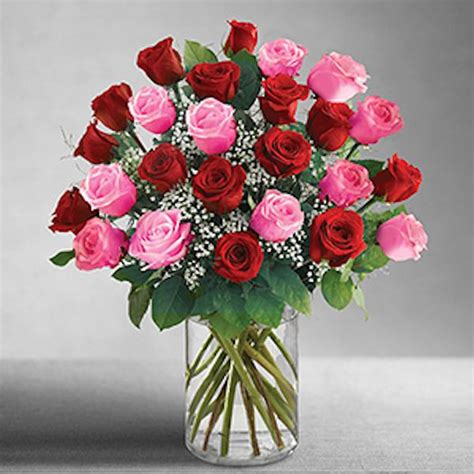 Double Dozen Red And Pink Roses