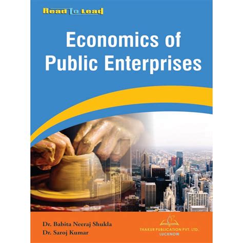 Economics Of Public Enterprises