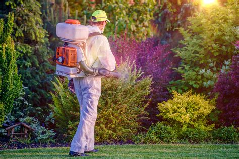 4 Tips On Becoming A Pest Control Technician Ulearning