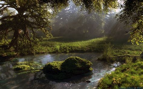Wallpaper Pond Forest Trees Nature 1920x1200 Wallhaven 1034196