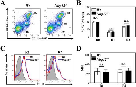 Nlrp12 Provides A Critical Checkpoint For Osteoclast Differentiation Pnas