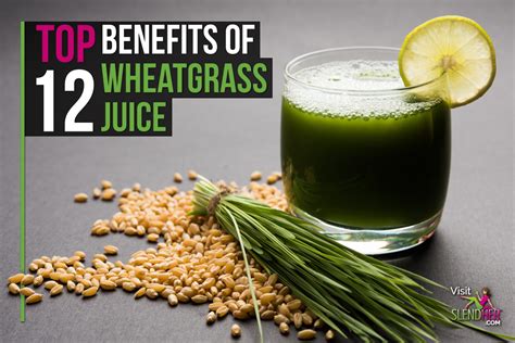 Top 12 Benefits Of Wheatgrass Juice Slendher