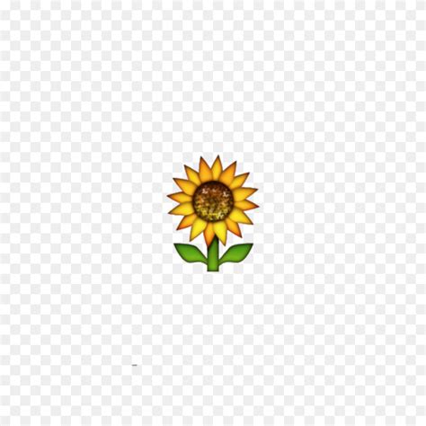 Sunflower Emoji Wallpaper