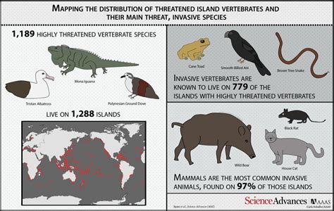 Invasive species jeopardize already threatened island animals ...