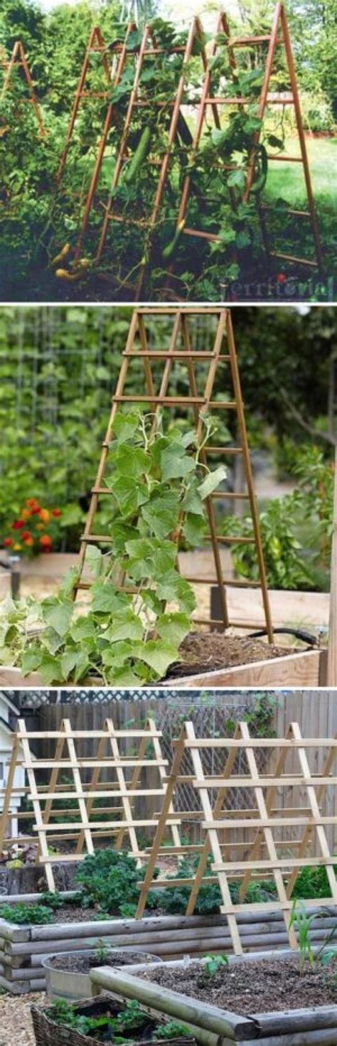 Diy Trellis Ideas For Squash Qdiyi