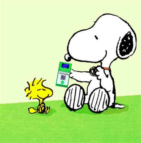 Pin By Gino Cirillo On Snoopy And Woodstock Show Snoopy Love Snoopy