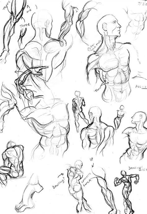 Pin On Body Sketches