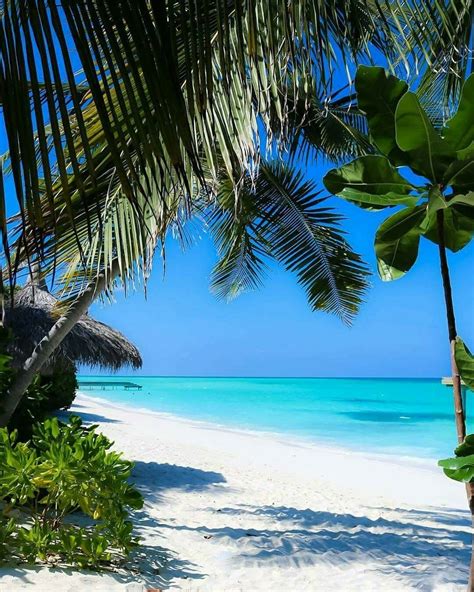 Maldives Beautiful Beaches Beautiful Landscapes Beautiful Nature