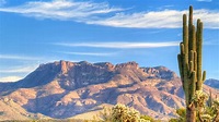 Sonora-Wüste 2021: Top 10 Touren & Aktivitäten (mit Fotos) - Erlebnisse ...
