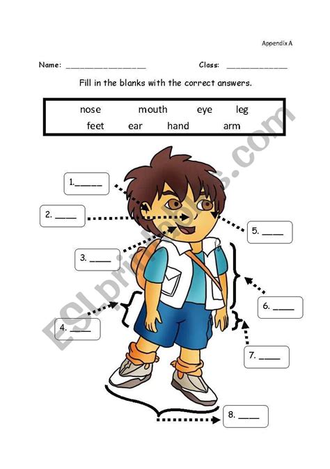 Ks1 Human Body Parts Labeling Activity Teaching Resources Ks1 Private Body Parts Activity Rshe