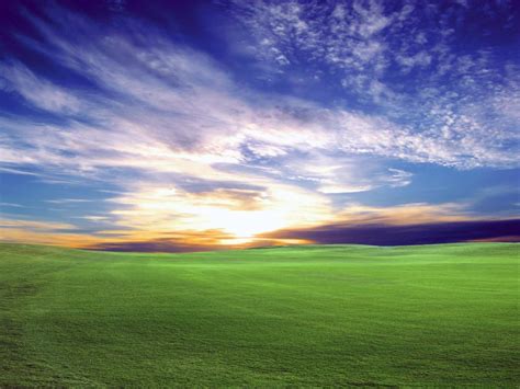 2560x1440 Resolution Green Grass Field During Sunset Hd Wallpaper