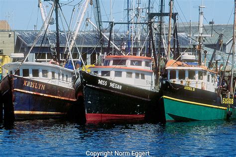 Three Fishing Docked Boats In Gloucester Harbor Norm Eggert Photography