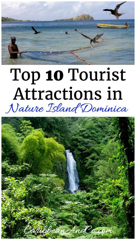 top 10 tourist attractions in nature island dominica caribbean and co caribbean travel