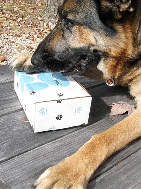 Maybe you would like to learn more about one of these? PawBox Pet Gift Box Of The Month Club Premium New Products