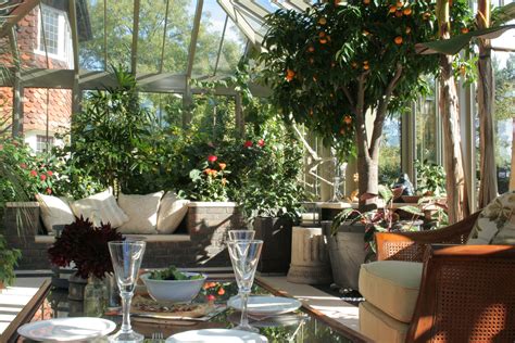 You Can Happily Grow Oranges In Our Conservatories As Well As Our