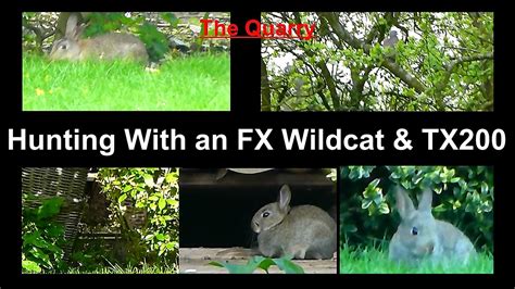 17 Hunting With An Fx Wildcat And Tx200 Youtube