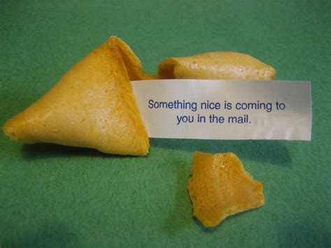 Savvy And Sage Fortune Cookie Friday Mail