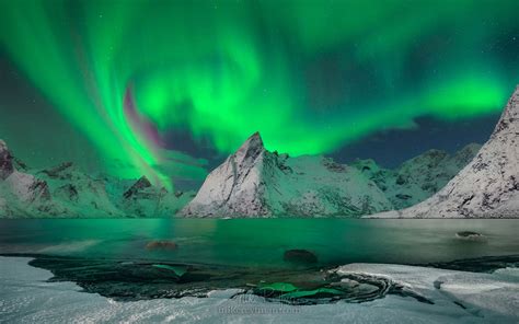 Aerial View Of Lofoten Archipelago And Fishing Village Of Reine At