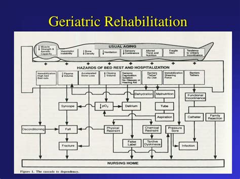 Ppt Geriatric Rehabilitation Powerpoint Presentation Free Download