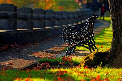 Обои листья Leaves Hdr Nature Grass Park Road Forest Walk