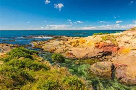 New Zealand Colorful Coast Landscape Stock Image Image Of Polarizing