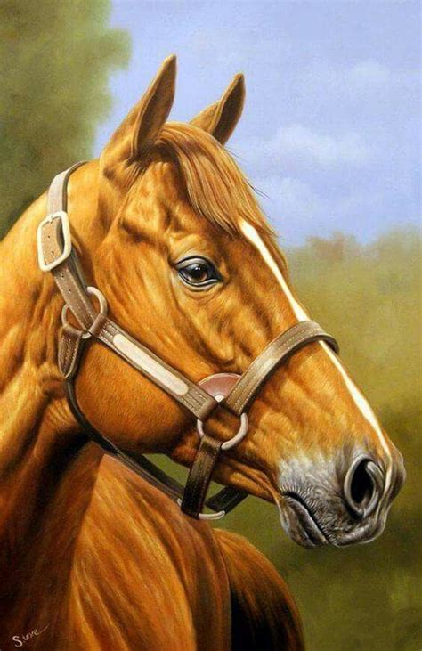 Equine Artwork Horse Artwork Horse Painting Art Painting Cheap