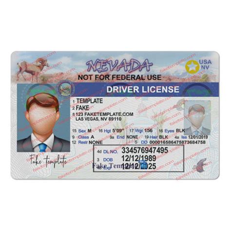 Nevada Drivers License Extension High Quality Fake Template