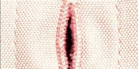 Five Common Vaginal Odors And What They Mean Self