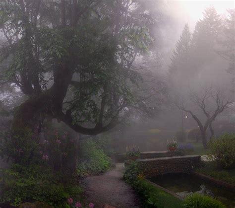 Misty Park Stock By Wyldraven On Deviantart Fantasy Landscape Nature