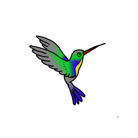 How To Draw A Hummingbird Step By Step Easy Drawing Guides Drawing