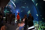 Shedd aquarium the most largest aquarium in Chicago - Beautiful ...