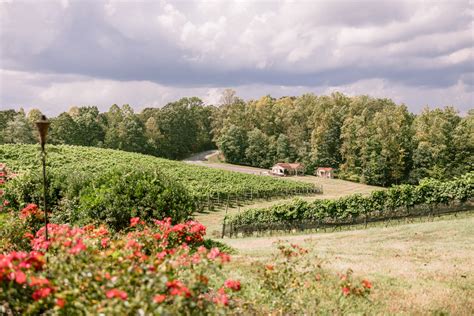 Discover The Best Wineries In Virginia For Every Occasion Potomac