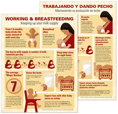 Working And Breastfeeding — Nancy Mohrbacher
