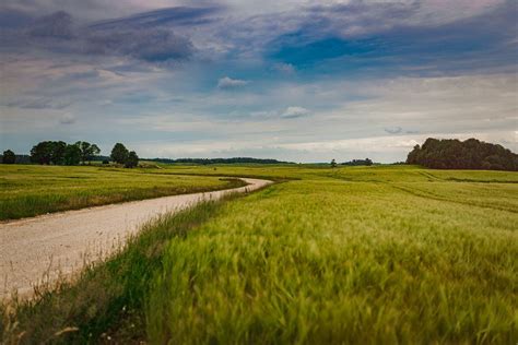 Calm And Flat Landscape Of Summer Countryside Meadow Creative Commons