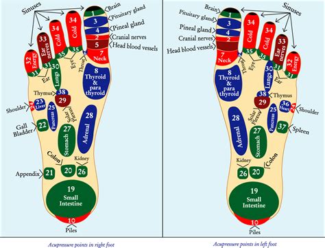 Acupressure Cure Without Medicine March 2013