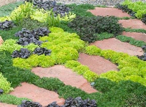 Front yard landscaping can be challenging when you have a small area to work on. Incredible Low Maintenance Front Yard Landscaping Ideas 42