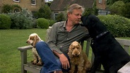 Watch Martin Clunes: A Man and His Dogs Online | On Demand | UKTV Play