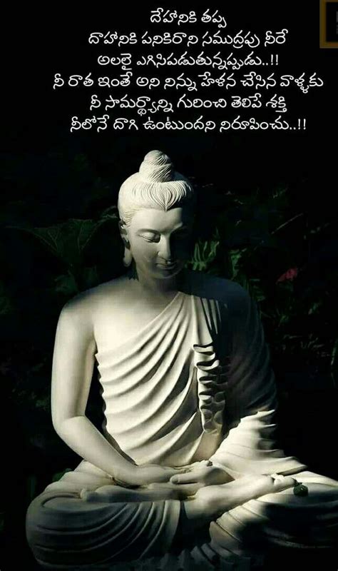 Pin By Sreevenireddy On Quotes Buddha Statue Buddha Statue