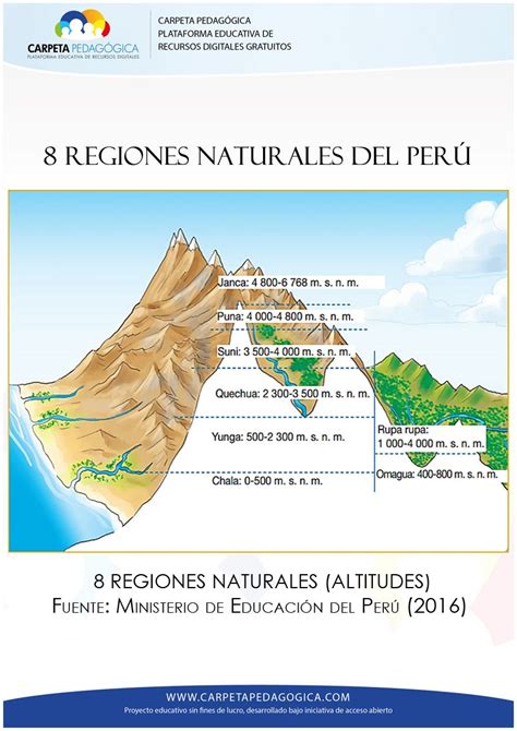 8 Regiones Naturales Del Perú